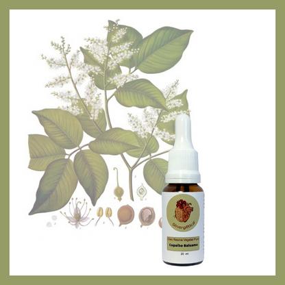 Copaíba - Óleo Vegetal Resina 20ml